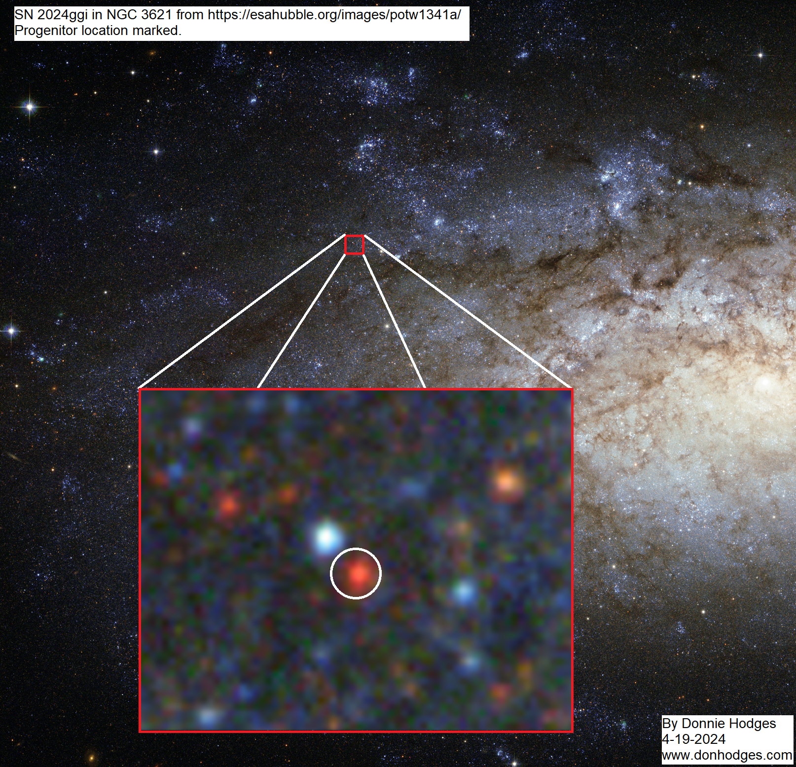 SN 2024ggi progenitor